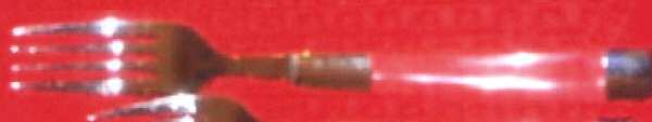 UNF1071 (Stainless) Fork