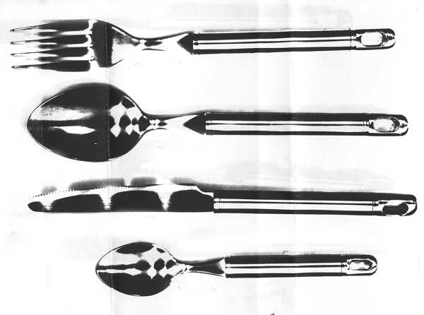 Coral (Stainless) Fork