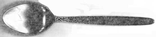 110 (Stainless) Place/Oval Soup Spoon