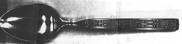 UNF1108 (Stainless) Tablespoon (Serving Spoon)