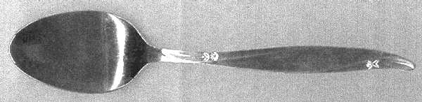 UNF1109 (Stainless) Teaspoon