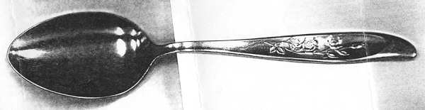 UNF1121 (Stainless) Place/Oval Soup Spoon