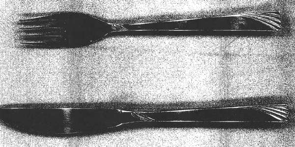 UNF1135 (Stainless) Fork