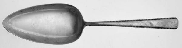 UNF737 (Nickel) Small Solid Pie Server