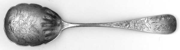 UNF1281 (Sterling) Spoon-Sugar Shell/Bright Cut