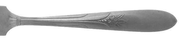 UNF1911 (Stainless) by Unknown Mfg Silver