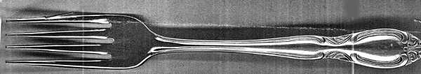 UNF1917(Stainless) Fork