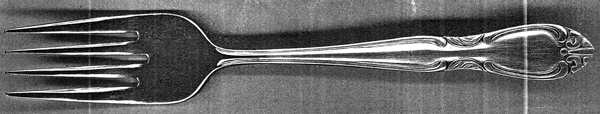 UNF1917(Stainless) Individual Salad Fork