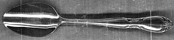 UNF1917(Stainless) Teaspoon