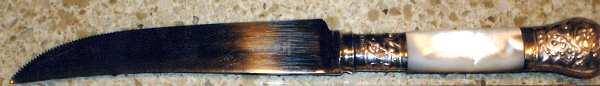 Flatware (Plated Bolster) Individual Steak Knife Hollow Handle