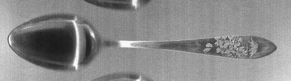 UNF1966 (Sterling) Teaspoon