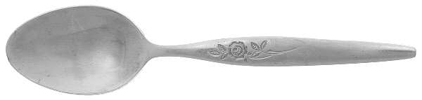 UNF2076 (Stainless) Teaspoon