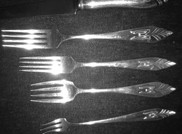 UNF2078 (Sterling) Fork
