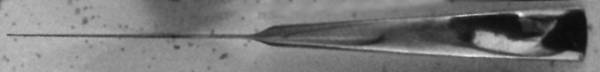 UNF1461 (Stainless) Modern Solid Knife