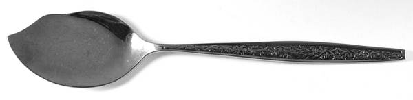 UNF1493 (Stainless) Large Solid Jelly Server