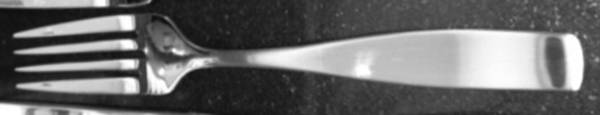 UNF1496 (Stainless) Individual Salad Fork
