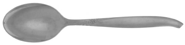 UNF2176 (Stainless) by Unknown Mfg Silver
