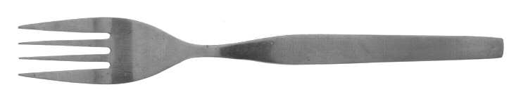 Profile (Stainless) Fork