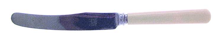 VS6 (Stainless) New French Hollow Handle Butter Spreader Stainless Blade