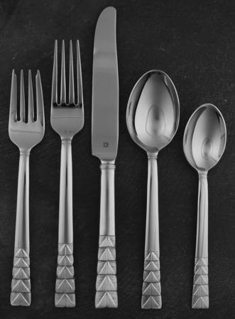 Plisse (Stainless) 5 Piece Place Setting