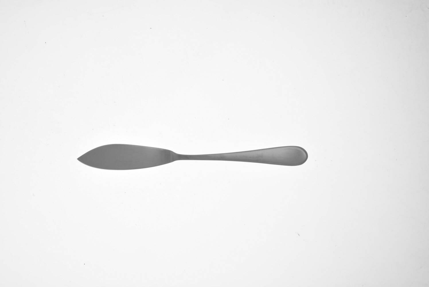 Oscar (Stainless) Individual Fish Knife with Stainless Blade
