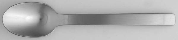 One (Stainless) Teaspoon