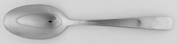 Farmhouse Touch (Stainless) Tablespoon (Serving Spoon)
