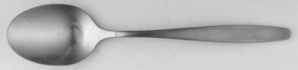 Action (Stainless) Tablespoon (Serving Spoon)