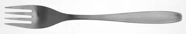 Alpha (Stainless) Fork