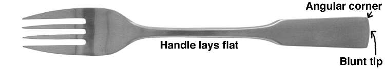 Arctica (Stainless) Fork