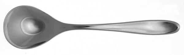 Artisan (Stainless, Newer, Glossyfinish) Sugar Spoon
