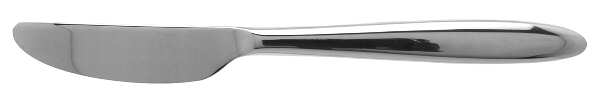 Atlanta (Stainless, Newer) New French Solid Knife