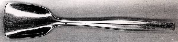 Frankfurt (Stainless) Sugar Shovel