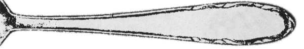 WMF23 (STAINLESS) by WMF Flatware