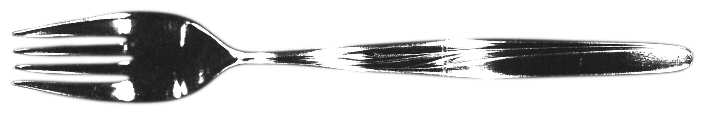 Heidelberg Fork