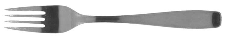 Line (Newer, Stainless) Fork