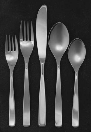 Nortica II (Stainless) 5 Piece Place Setting