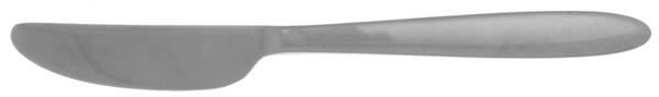 Present (Stainless) Dessert Knife Solid Piece