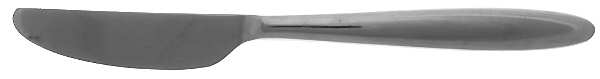 Present (Stainless) New French Solid Knife