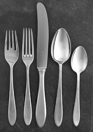Shadowpoint (Stainless) 5 Piece Place Setting