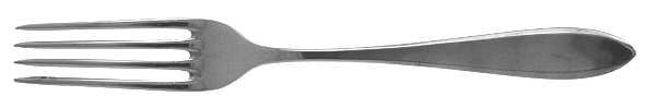 Shadowpoint (Stainless) Fork
