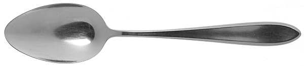 Shadowpoint (Stainless) Tablespoon (Serving Spoon)