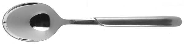 Stylar (Stainless) Tablespoon (Serving Spoon)