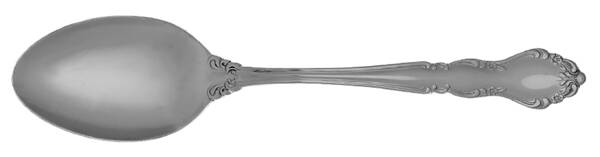 WIW1 (Stainless) Tablespoon (Serving Spoon) by Winthrop