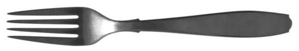 WZN1 (Stainless) Fork