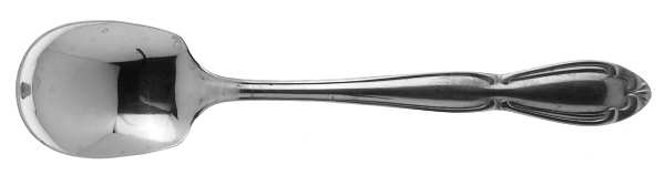 Carolyn (Stainless) Sugar Spoon