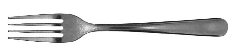 Sarah (Stainless) Fork