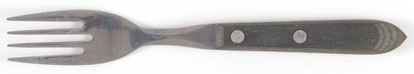 Town and Country Green (Stainless) Individual Salad Fork
