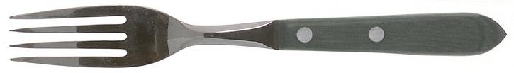 Town and Country Green (Stainless) Fork