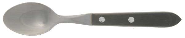 Town and Country Green (Stainless) Teaspoon